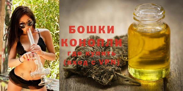 экстази Горняк