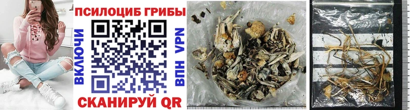 Псилоцибиновые грибы GOLDEN TEACHER  как найти закладки  MEGA ТОР  Щигры 